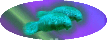 Loading SAVE THE MANATEES Search Results Banner